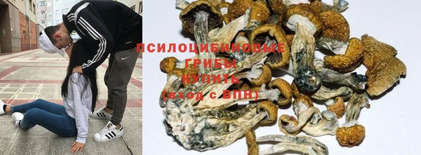 MESCALINE Армянск