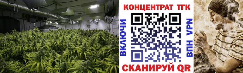 ТГК Wax  Купить где  Валуйки 