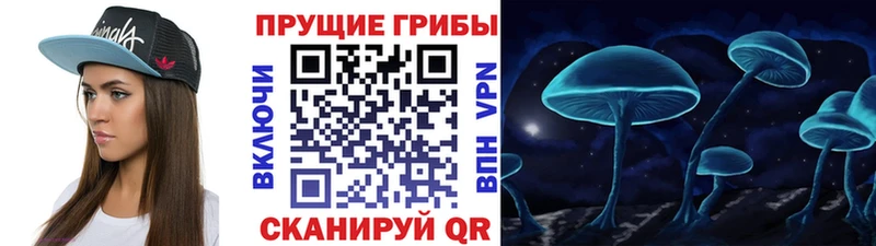 Купить  Валуйки  Псилоцибиновые грибы Magic Shrooms 